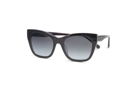 ProDesign STELLAR · Dunkle Sonnenbrille